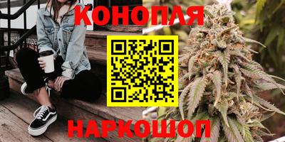 каннабис Кохма