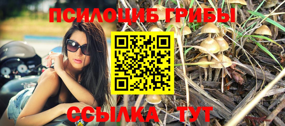 Псилоцибиновые грибы ЛСД  Вход с VPN  Ачинск  Псилоцибиновые грибы Cubensis 