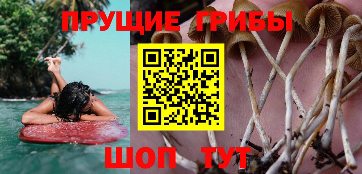 Мефедрон кристаллы  Cocaine  Ачинск  Вход с VPN  Гашиш  Канабис  LSD-25 